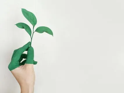 Reveal, Live, Sustain