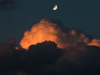 Reveal That Which Needs To Be Revealed