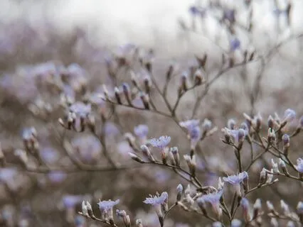 Revealing Limiting Beliefs - A  Self-Reflective Practice