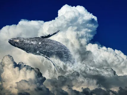 Reverse Osmosis - Binaural Tone, Ocean Waves, Whales