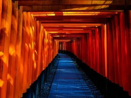 Reverse Psychology Sleep Meditation: Deep Rest, No Effort