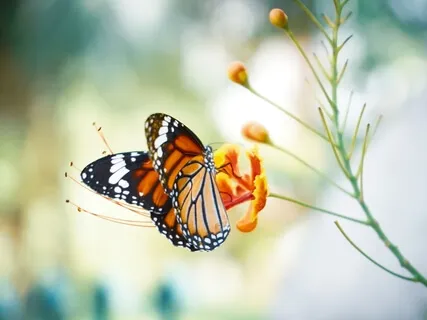 Review & Release The Year, Mindfully