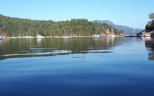 Revisiting The Basics Of Distraction