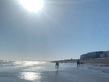 Revisiting The Good Meditation