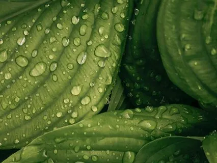 Revitalise Me | Breathwork & Visualisation Meditation