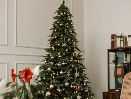 Revitalize And Unwind - Energy Reset For Stress Relief