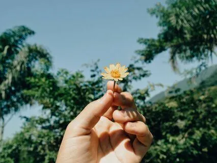 Revitalize The Body With Life Energy: A Grounding Meditation