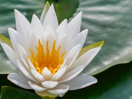 Release Negative Thoughts & Emotions