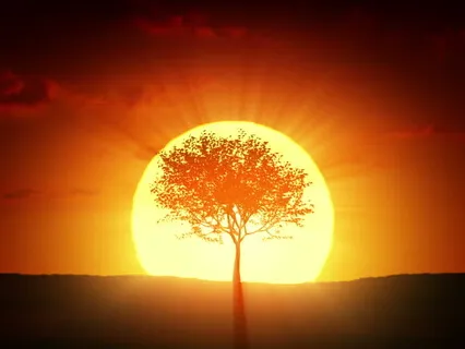 Revitalize Your Energy