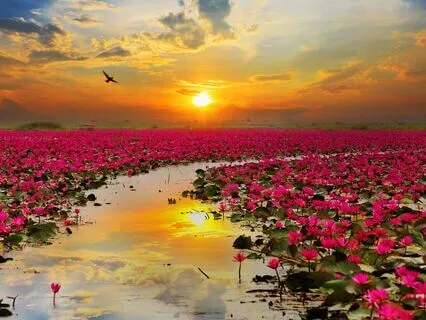 Revive - 2 Rounds Of Guided Breathwork (10 Mins)