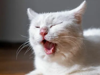 Ethereal Resonance | Harmonic Delta Waves Embrace