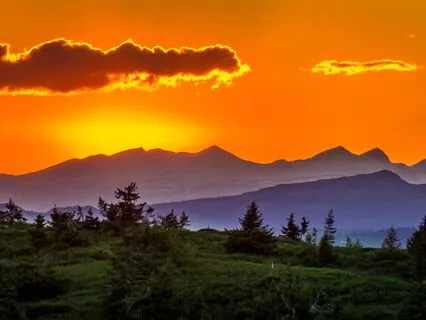 Revive Within: Reconnect & Refresh - Meditation 85