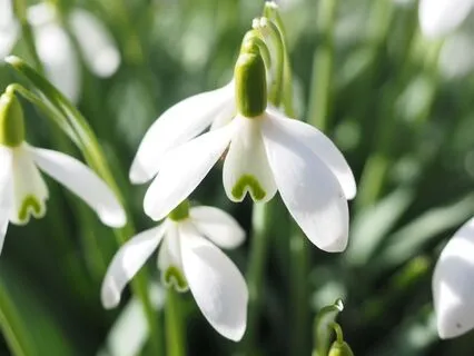 Revolutionary Soulful Manifesting: Energy Forecast: Jan 2025