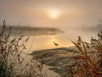 Rewilding Business - The Wild River