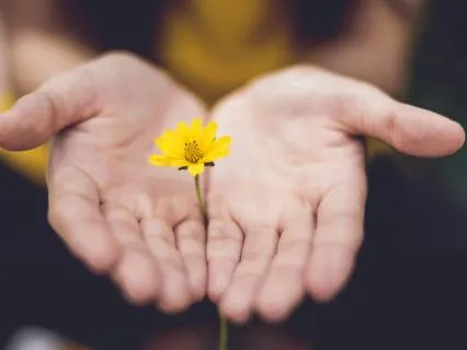 Rewire For Physical Healing: Reiki Mind-Body Meditation