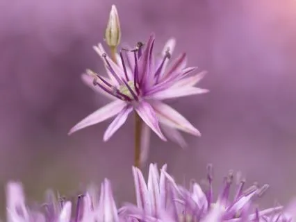 Rewire Your Brain And Let Go Of Limiting Beliefs