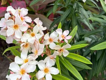 Rewire Your Brain For Abundant Wealth