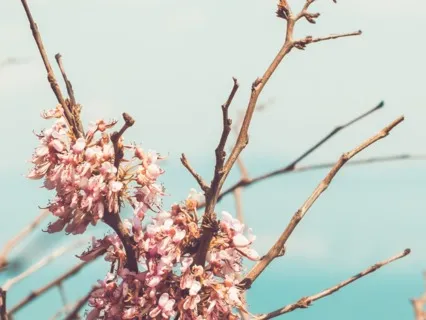 Rewire Your Brain For Focus, Balance And Wellness