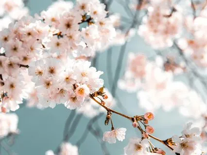 Rewire Your Mind For Abundance