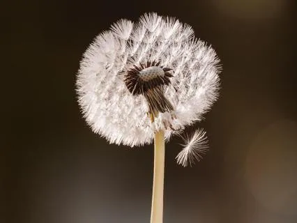 Rewire Your Nervous System To Calm Anxiety