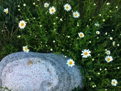 Rewiring Old Beliefs