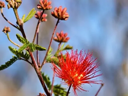 Rewiring The Sacred Way