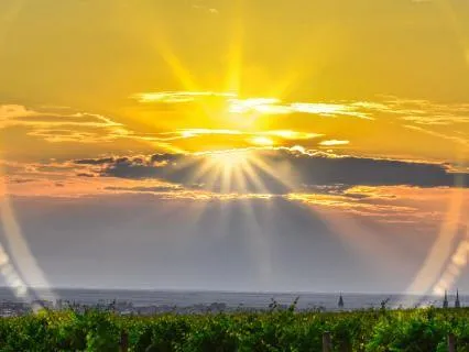 Rewiring Your Brain To Source - Aligning Mind Channels