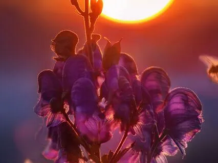 Rewiring Your Mind For Divine Creation