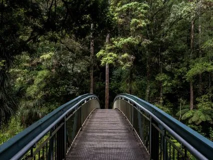 Rewiring Your Mind To Transform Your Life