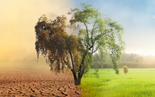 Rewrite Your Money Story