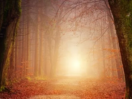 Rewrite Your Story And Step Onto Your Highest Path