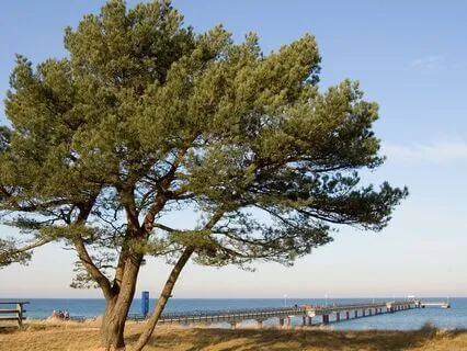 Rewriting My Body Story | Affirming Self-Acceptance