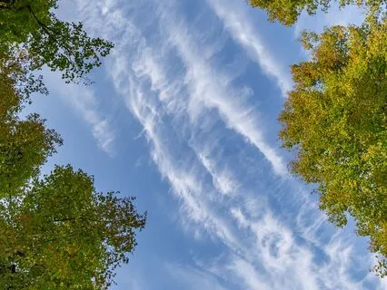 Rewriting My Confidence Story | Affirming Self-Trust