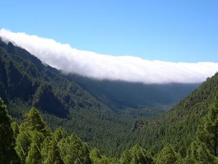 Rewriting My Growth Story | Affirming Consistency And Action