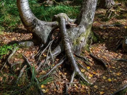 Rewriting My Relationship Story | Affirming Safe Connection