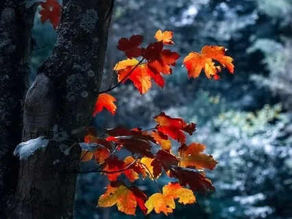 Rewriting Relational Trauma: Part Three