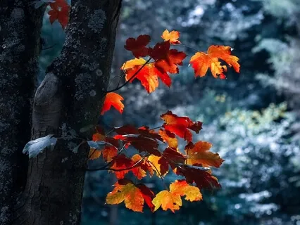 Rewriting Relational Trauma: Part Two