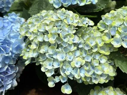 Rewriting Your Money Story