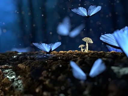 Rhodonite Meditation: Forgiveness & Relationship Healing