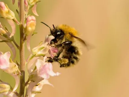 Rhythm Of Focus | Workday Bliss