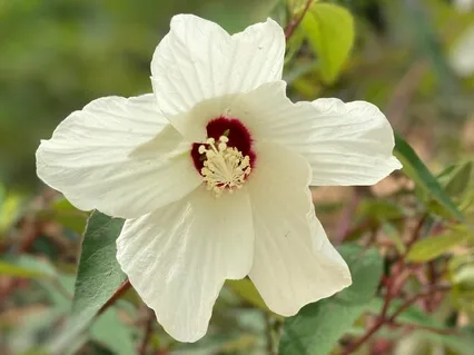 Rhythm Of Your Breathing