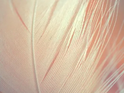 Rhythmic Breathing For Beginners