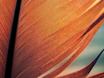 Rhythmic Breathing Intermediate Level