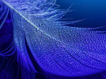 Rhythmic Breathing With Advanced Breath Holds