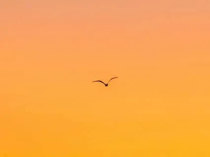 Rhythmic Meditation For Creativity