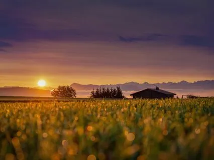 Rhythms Of The Earth