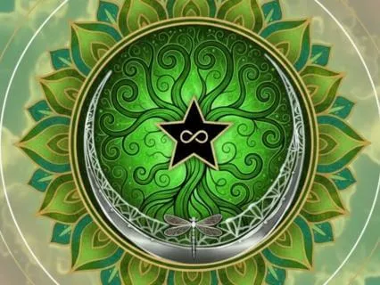 Rib Cage - Body Parts - Non-Resistant Affirmations