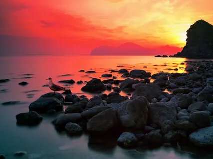 Music For Forgiveness