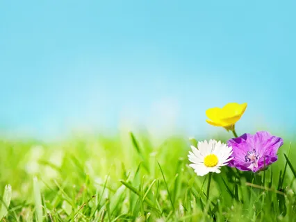 Richness Of The Musical Tone Itself