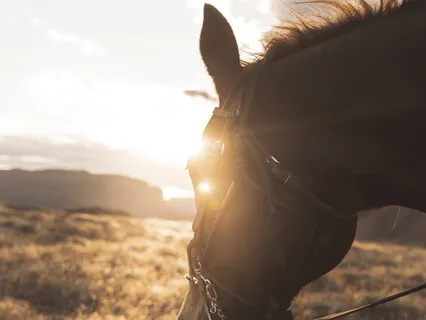 Ride Free - Guided Imagery Meditation